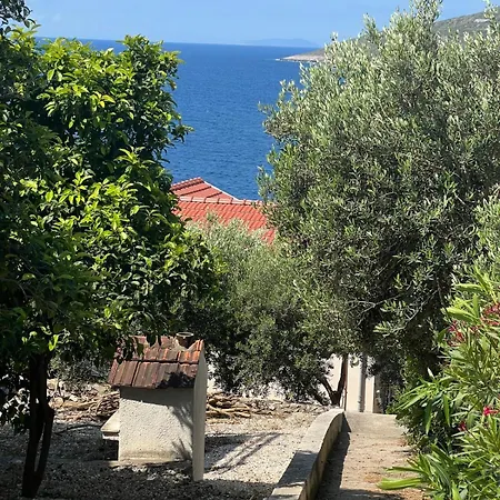 Meerblick Mit Traumterrasse *