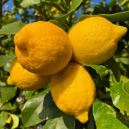 Meerblick Mit Traumterrasse