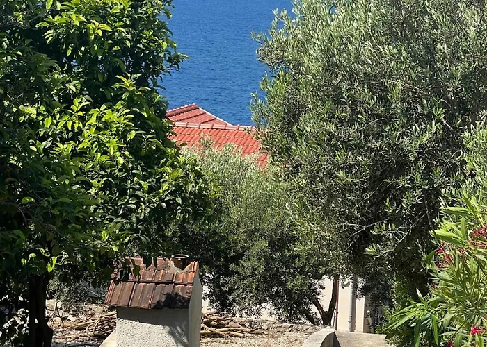 Meerblick Mit Traumterrasse *